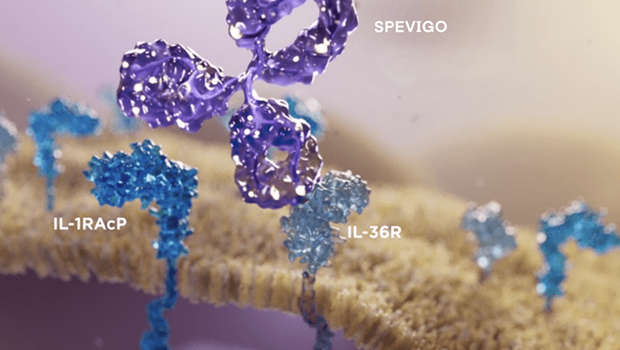 SPEVIGO® Inhibit Signaling In IL-36 Pathway